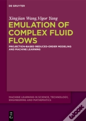 Capa do artigo Emulation Of Complex Fluid Flows