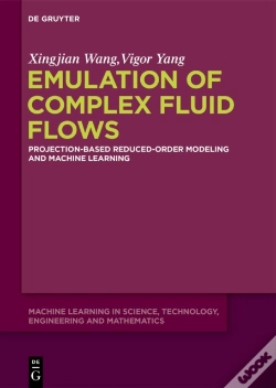 Capa do artigo Emulation Of Complex Fluid Flows