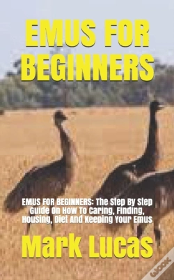 Capa do artigo Emus For Beginners