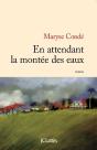En Attendant La Montée Des Eaux - Preview
