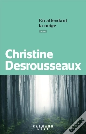 Capa do artigo En Attendant La Neige