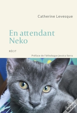 Capa do artigo En Attendant Neko