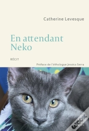 Capa do artigo En Attendant Neko