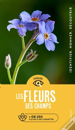 Capa do artigo En Balade : Les Fleurs Des Champs