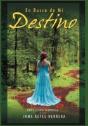 En Busca De Mi Destino - Preview