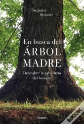 En Busca Del Árbol Madre