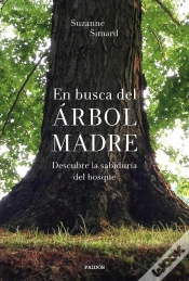 Capa do artigo En Busca Del Árbol Madre