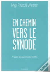 Capa do artigo En Chemin Vers Le Synode