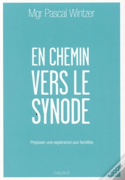 Capa do artigo En Chemin Vers Le Synode