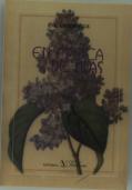 En Época De Lilas