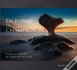 Capa do artigo En Forme De Champignon - Voyages & Pareidolies Aux Quatre Coins Du Monde