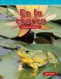 En La Charca (At The Pond) - Preview