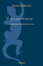 En Souffrance : Adolescence Et Entrée Dans L'Âge Adulte - Preview