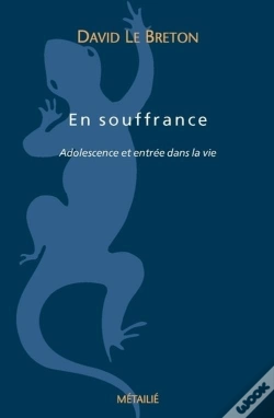 Capa do artigo En Souffrance : Adolescence Et Entrée Dans L'Âge Adulte
