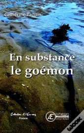 En Substance Le Goemon