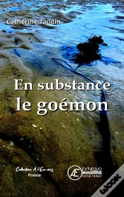 Capa do artigo En Substance Le Goemon