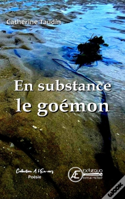 Capa do artigo En Substance Le Goemon