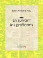 En Suivant Les Goélands - Preview