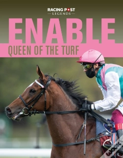 Capa do artigo Enable