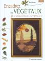 Encadrez Les Vegetaux - Preview