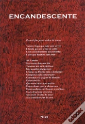 Capa do artigo Encandescente