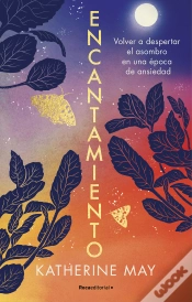 Capa do artigo Encantamiento