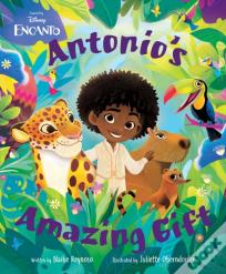 Encanto Picture Book