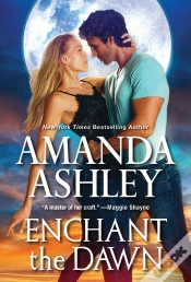 Capa do artigo Enchant The Dawn