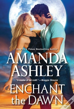 Capa do artigo Enchant The Dawn