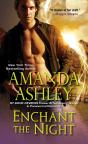 Enchant The Night - Preview