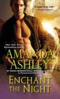 Enchant The Night - Preview