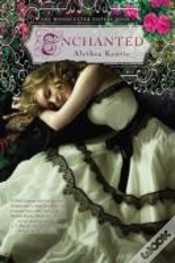 Capa do artigo Enchanted