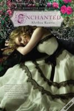Capa do artigo Enchanted