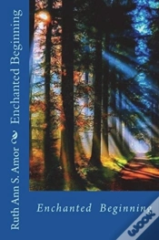 Capa do artigo Enchanted Beginning