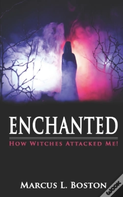 Capa do artigo Enchanted