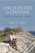 Enchanted By Daphne