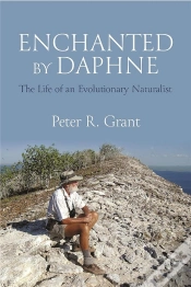 Capa do artigo Enchanted By Daphne