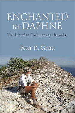 Capa do artigo Enchanted By Daphne