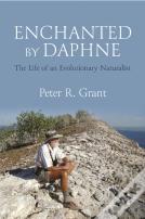 Enchanted By Daphne