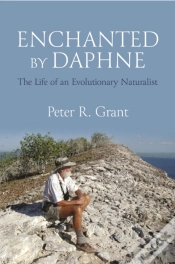 Capa do artigo Enchanted By Daphne
