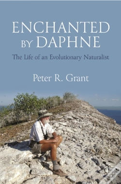 Capa do artigo Enchanted By Daphne