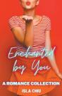 Enchanted By You: A Romance Collection - Preview