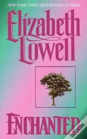 Capa do artigo Enchanted
