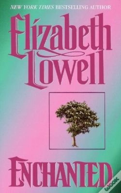 Capa do artigo Enchanted