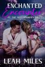Enchanted Encounter At The Matchmaker'S Inn - Preview