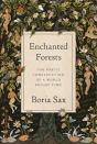 Enchanted Forests - Preview
