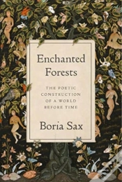 Capa do artigo Enchanted Forests