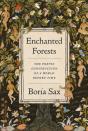 Enchanted Forests - Preview