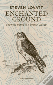 Capa do artigo Enchanted Ground