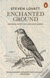 Capa do artigo Enchanted Ground